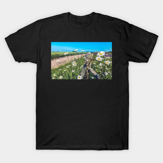 Daisies on a post in a field at Wortley, Yorkshire T-Shirt by Itsgrimupnorth